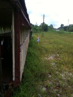 20120717-145006.jpg