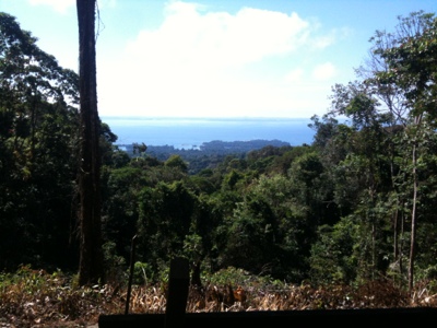 20120723-203907.jpg