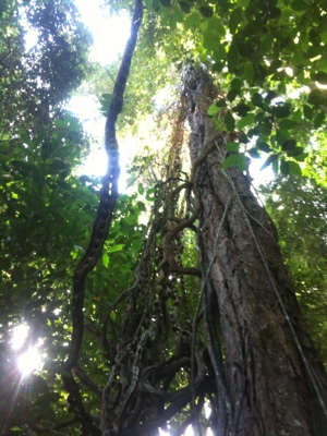 20120723-203919.jpg