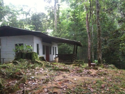 20120723-204015.jpg
