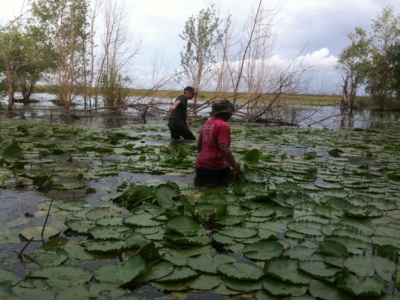 20120728-111759.jpg