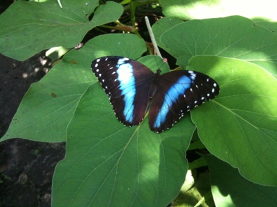 20120729-185646.jpg