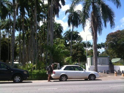 20120729-190000.jpg